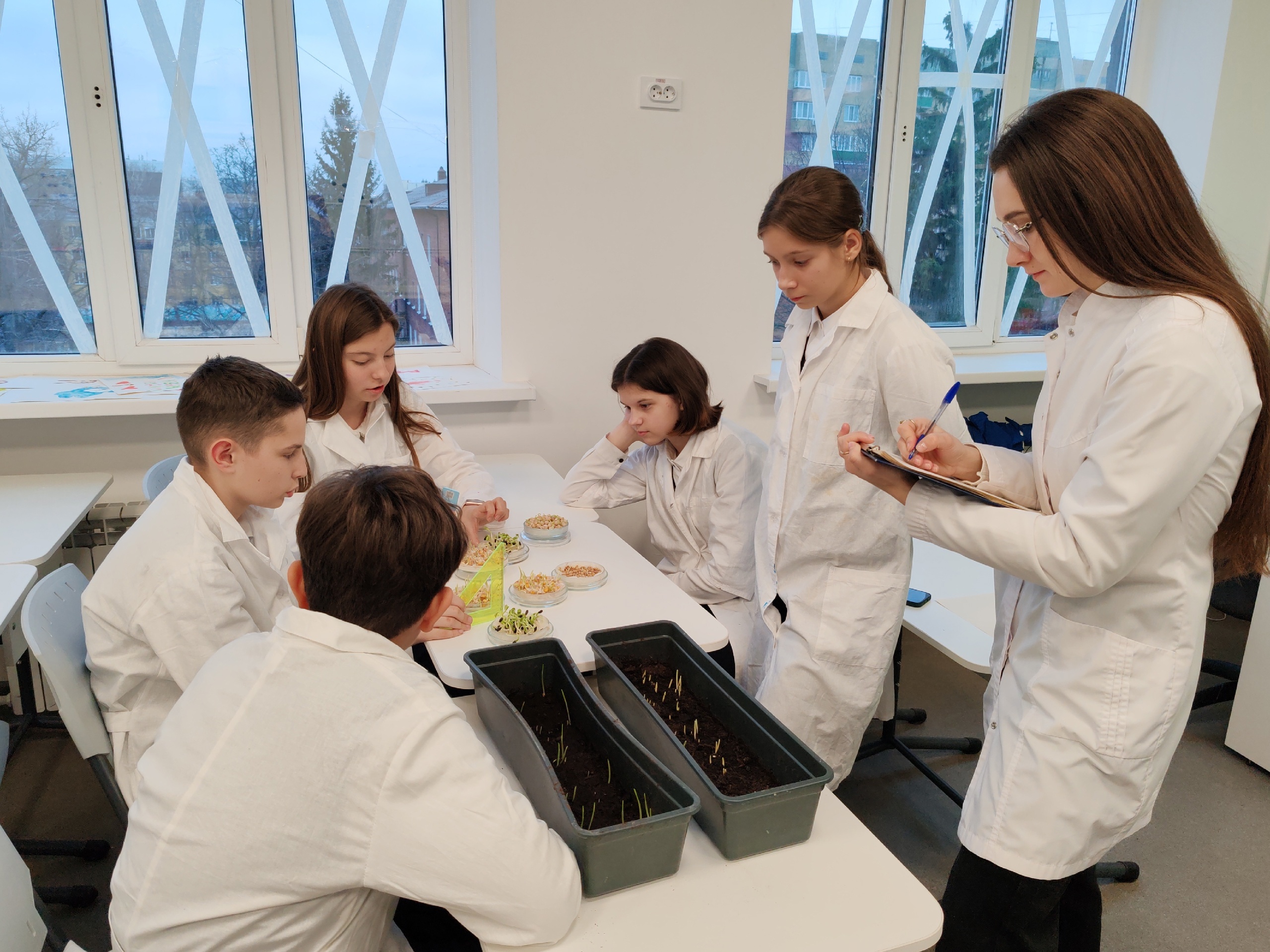 Второй этап проектной деятельности по теме "Исследование прорастания семян" пройден Второй этап проектной деятельности по теме "Исследование прорастания семян" пройден.