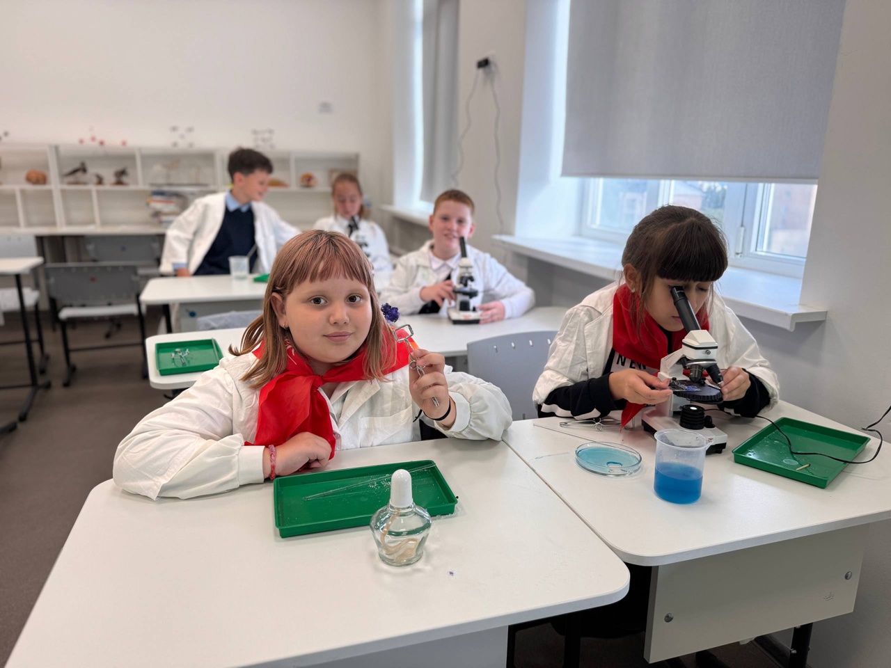 Экспериментальная биология.